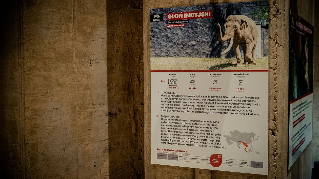 Łódzkie Orientarium otwarte. Zwiedzających zachwycają zwłaszcza rekiny i słonie