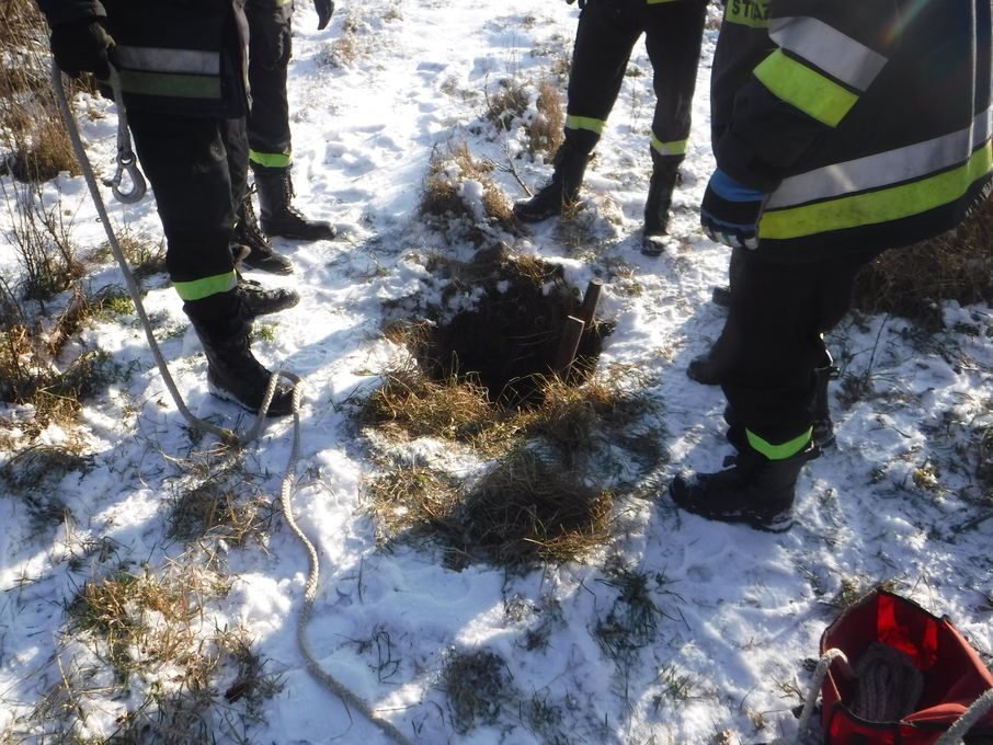 Dzielni strażacy uratowali psa uwięzionego w studzience - Zdjęcie główne