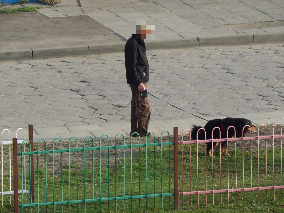 Niecodzienny apel do mieszkańca. „Trawnik to nie kibel” - Zdjęcie główne