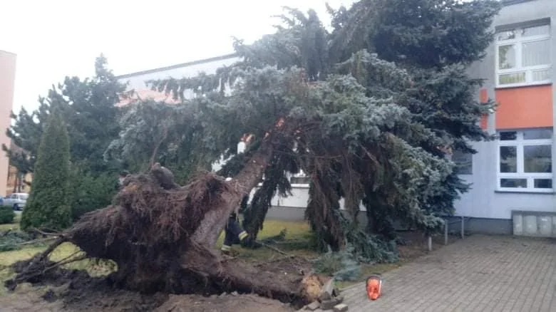 Nawałnica nie oszczędziła powiatu łęczyckiego. Strażacy podsumowują swoje działania