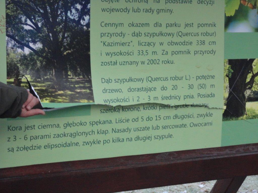 Akty wandalizmu w parku miejskim. Policja szuka sprawców - Zdjęcie główne