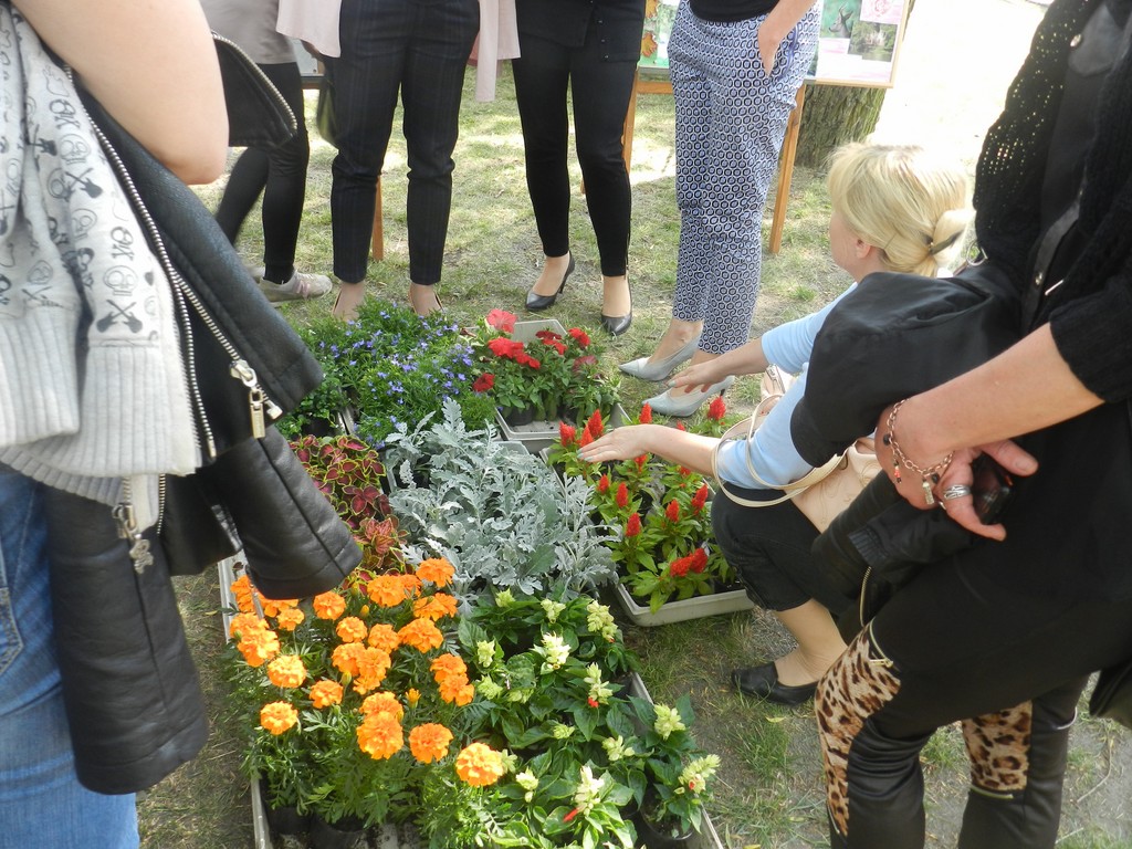 Moc atrakcji na Pikniku Rodzinnym - Zdjęcie główne