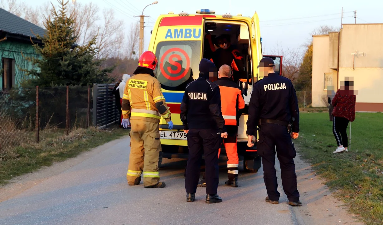 Tragiczny wypadek z udziałem 73-latka. Zmarł po uderzeniu autem w drzewo  - Zdjęcie główne