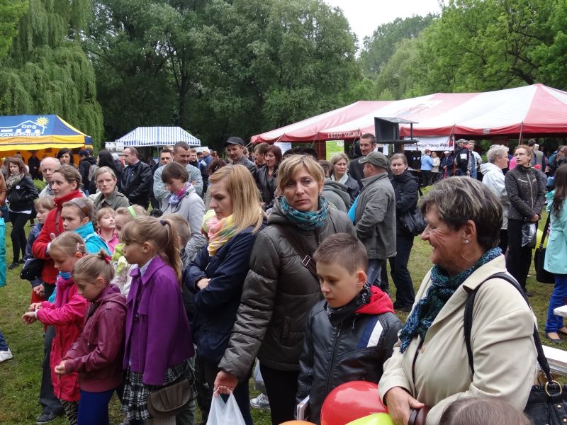 Spotkanie Organizacyjne dot. Majówki Zdrowia - Zdjęcie główne