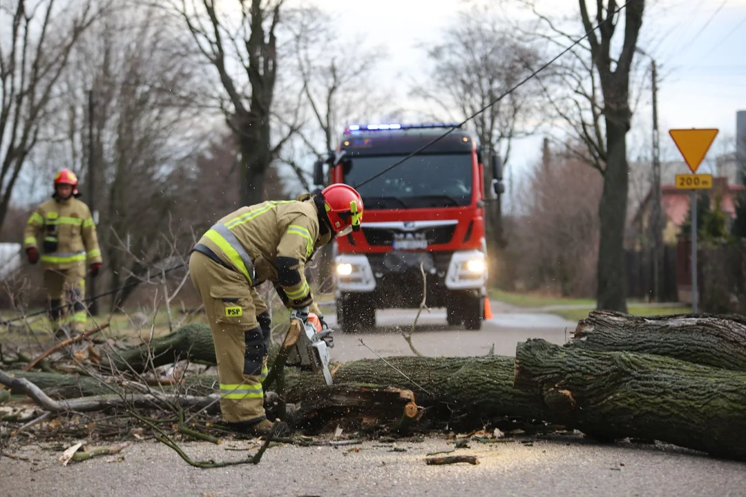 Nawałnica uderzyła w Łęczycę i region. W akcji ponad stu strażaków - Zdjęcie główne