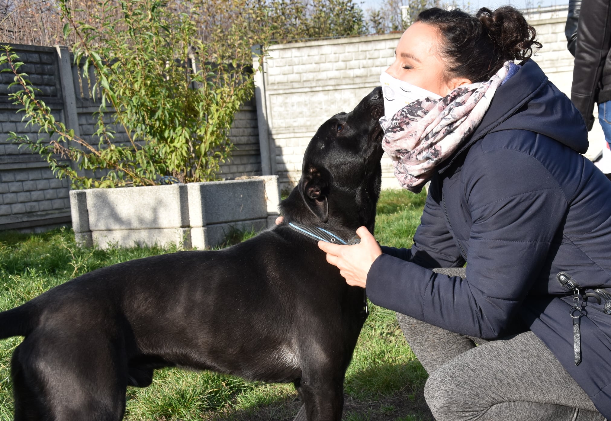 Ełkaesianki zachęcają do odpowiedzialnej adopcji zwierzaków z łódzkiego schroniska - Zdjęcie główne
