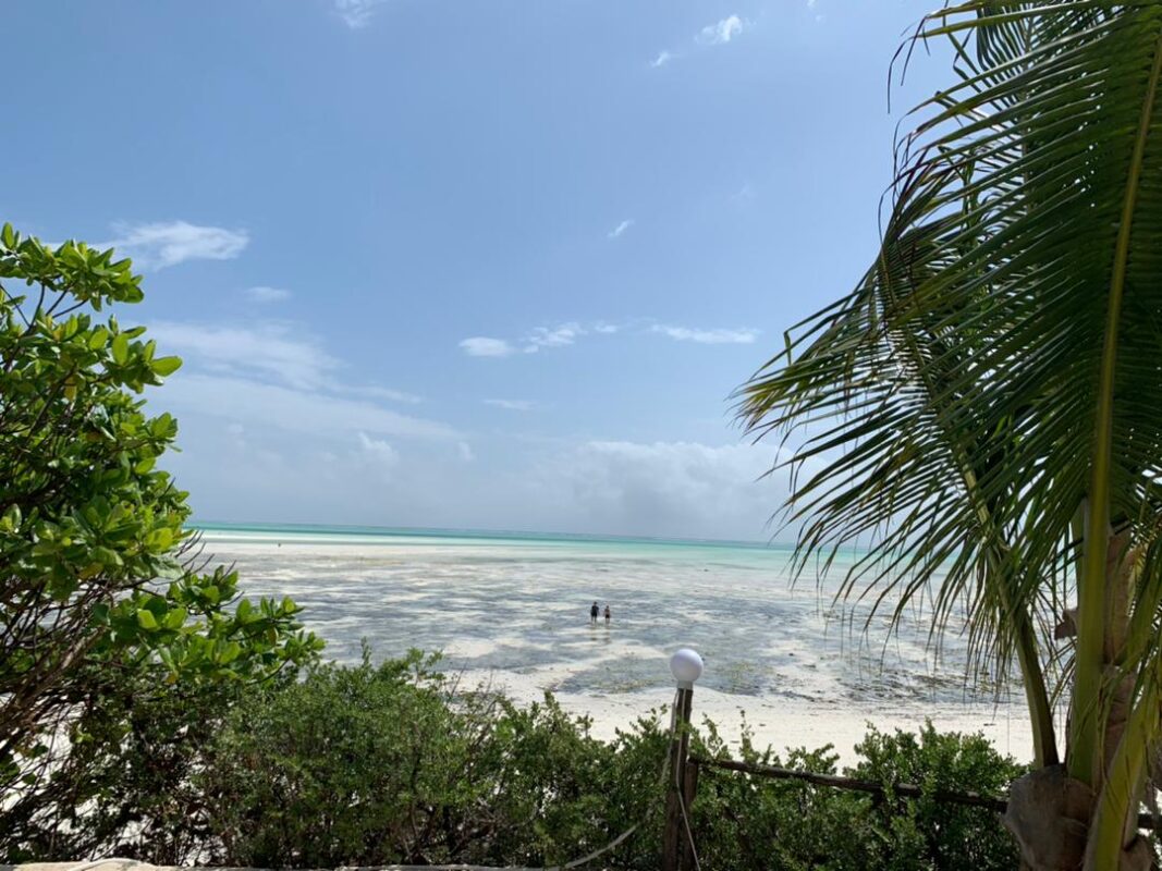 Zanzibar Fot. Żelisław Żyżyński