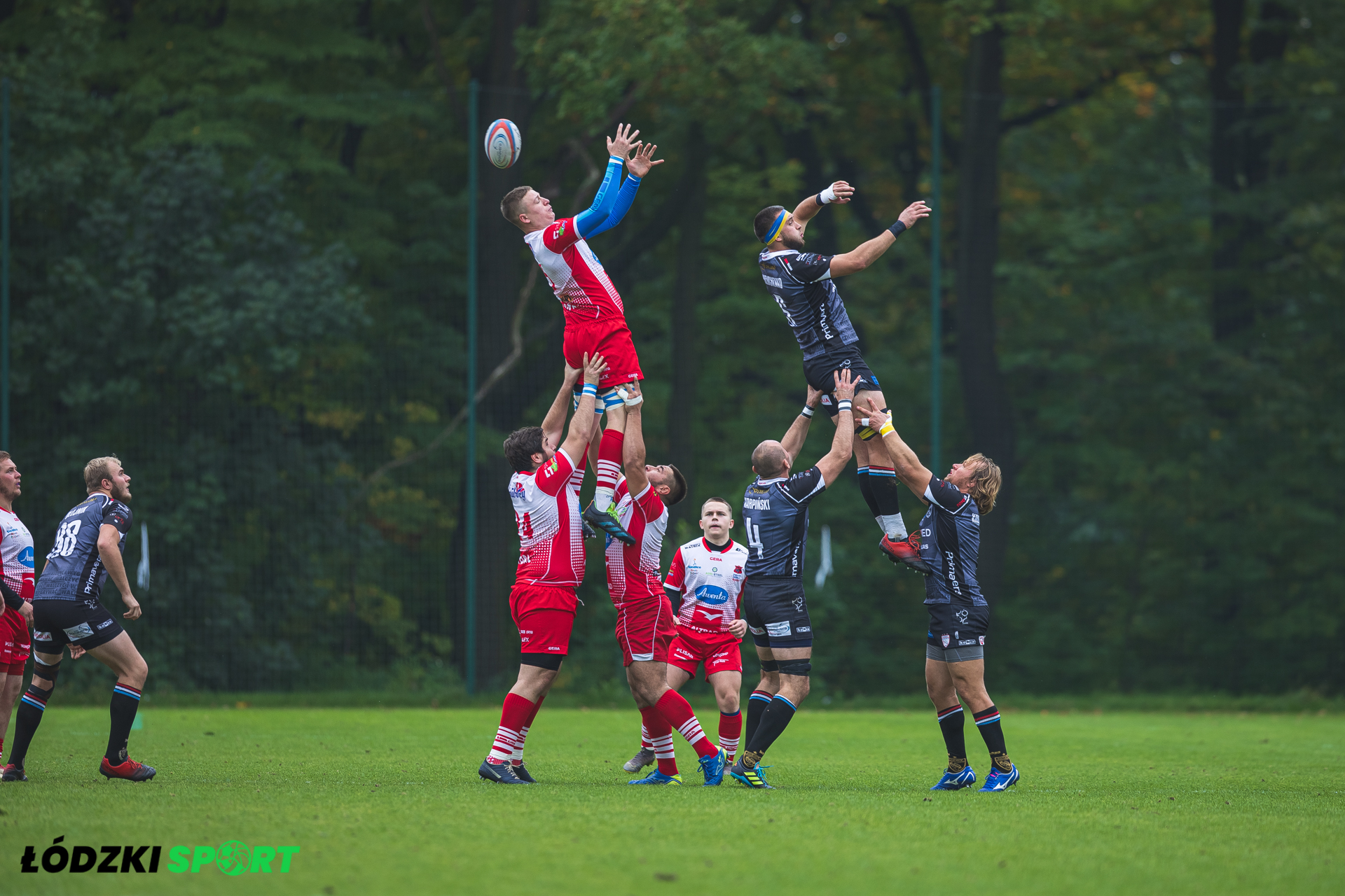 Master Pharm Rugby Łódź rozgromili Pogoń Siedlce [ZDJĘCIA] /fot. Łódzki Sport