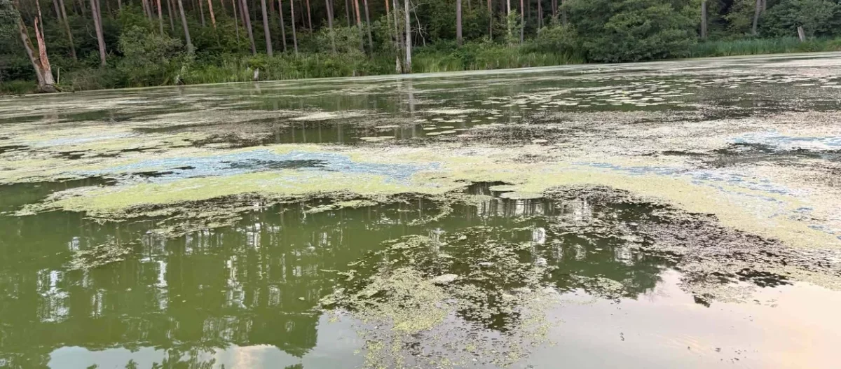 Między urzędem gminy, Wodami Polskimi a Unią Europejską. Walka o popularne jezioro bardziej skomplikowana, niż mogłoby się wydawać?