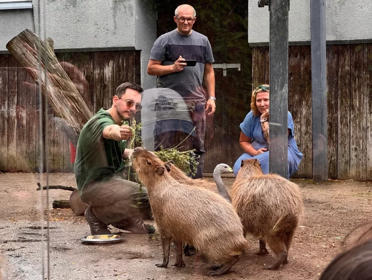 Tłumy wielbicieli kapibar w Łodzi. Tak wyglądał II Zlot Fanów Kapibary [ZDJĘCIA]