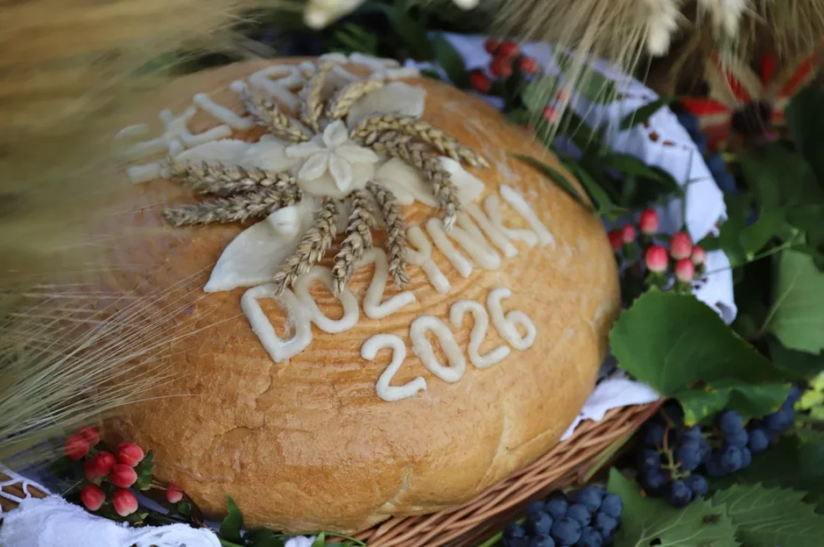 Takie wieńce przygotowano na Dożynki Powiatu Płockiego. Robią ogromne wrażenie! [ZDJĘCIA]