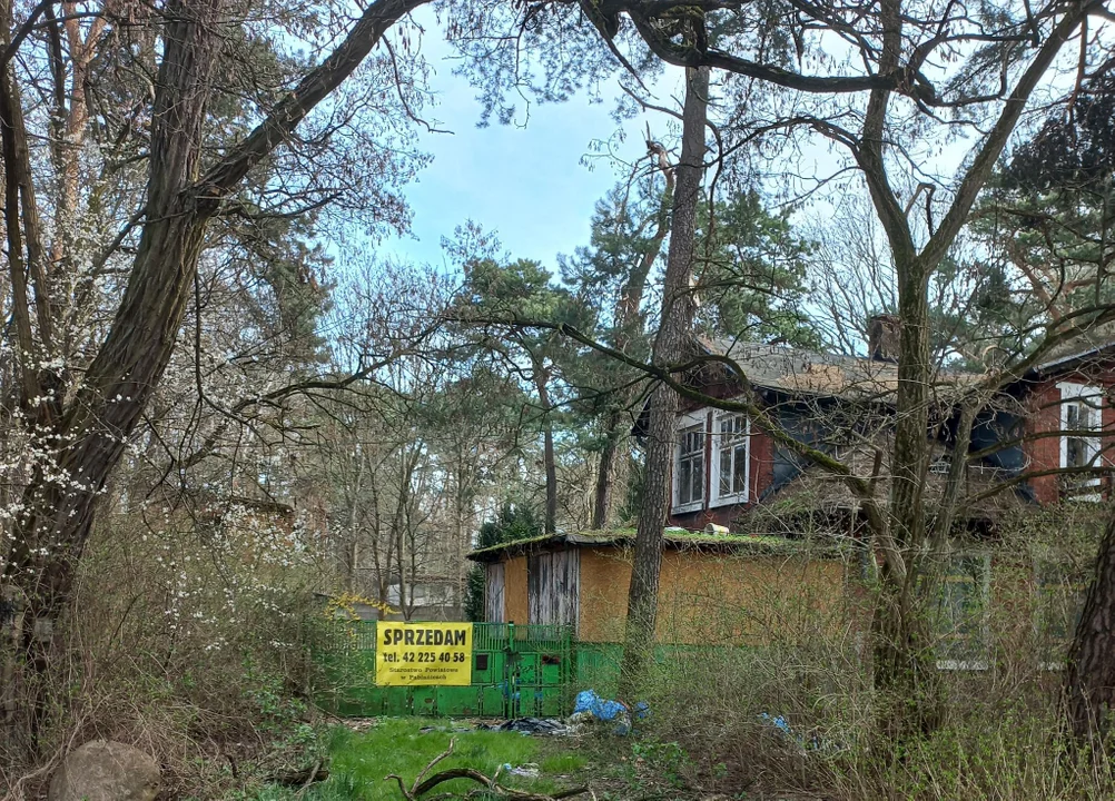 Starostwo sprzedaje nieruchomość blisko lasu. Wystartowała licytacja - Zdjęcie główne