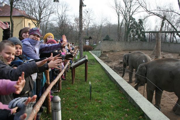 Łowcy przygód zabawią się w płockim ZOO - Zdjęcie główne