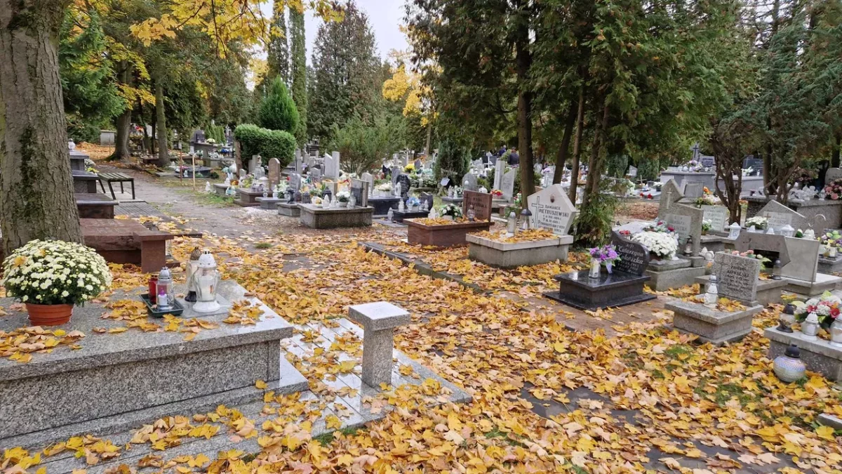 Wszystkich świętych coraz bliżej. Pierwsze zmiany przy cmentarzach już w tym tygodniu - Zdjęcie główne