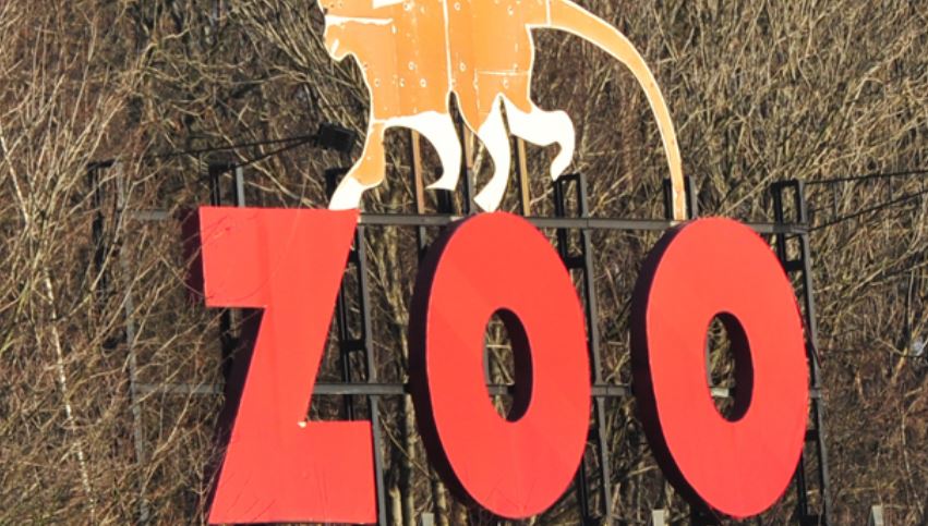 Rządowy lockdown przedłużony. Czy ZOO zostanie zamknięte? - Zdjęcie główne