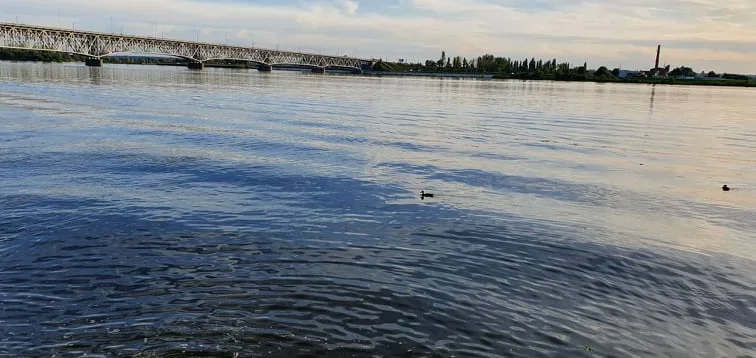 Próba samobójcza. Mężczyzna skoczył z mostu [AKTUALIZACJA] - Zdjęcie główne