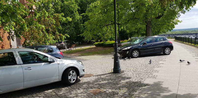 Jak w niedzielę rozjeżdżano alejki spacerowe na Wzgórzu Tumskim...  - Zdjęcie główne