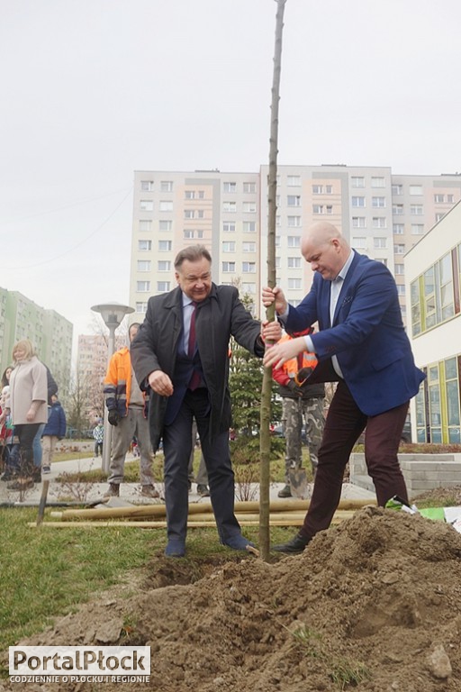 Jak prezydent z marszałkiem drzewa sadzili - Zdjęcie główne