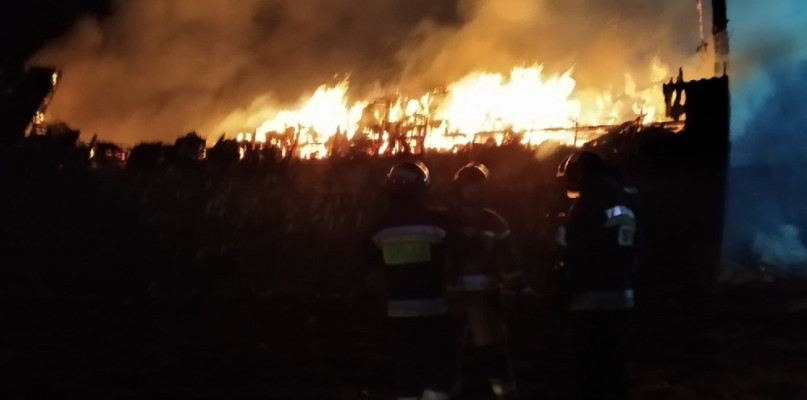 Pożar pod Płockiem. Płonął budynek gospodarczy ze zwierzętami - Zdjęcie główne