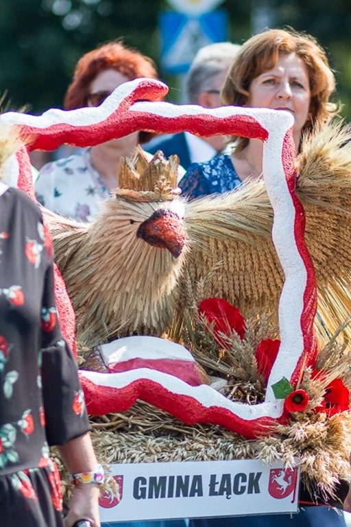 Tak było na dożynkach w Gąbinie - Zdjęcie główne