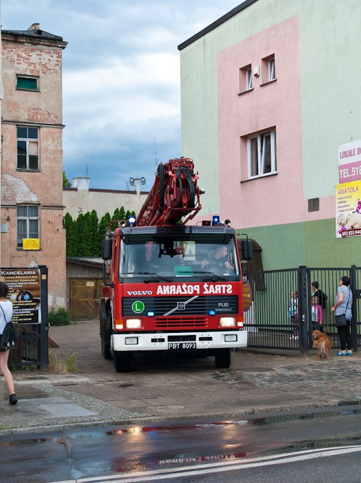 Strażacy uratowali dwa gołębie - Zdjęcie główne