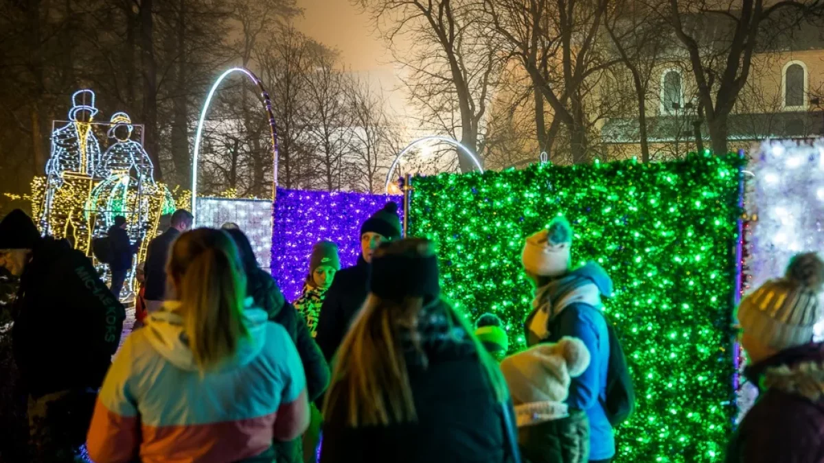 Ogrody Światła, wigilia, siatkarze, Jutrzenka, Dzikowska, Mikołaj. Co się będzie działo w Płocku? - Zdjęcie główne