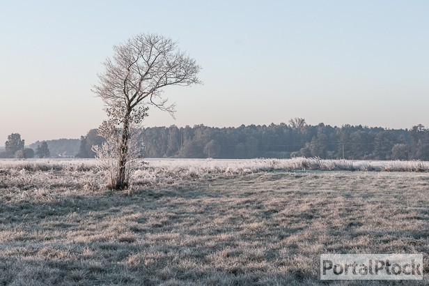 Uwaga, ostre mrozy w Płocku i powiecie - Zdjęcie główne