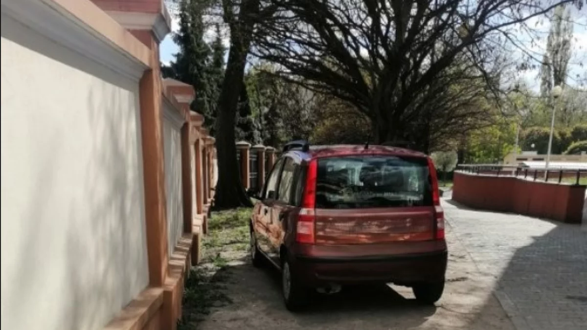 Parkują na terenach zielonych, ale jest problem, by ich ukarać. Szkopuł tkwi w interpretacji przepisów
