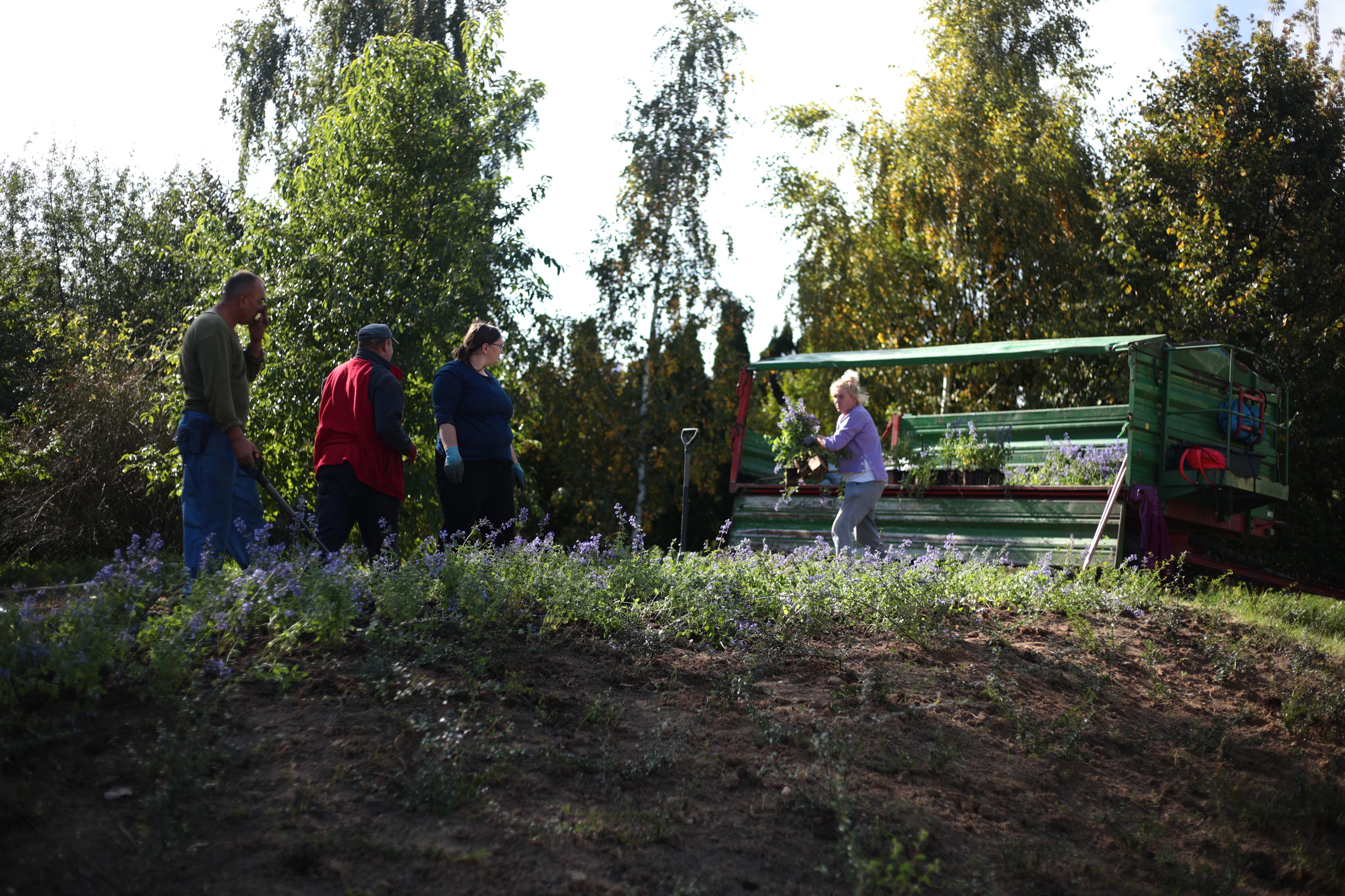 Posadzą kilka tysięcy roślin. Prace na Podolszycach już ruszyły  - Zdjęcie główne