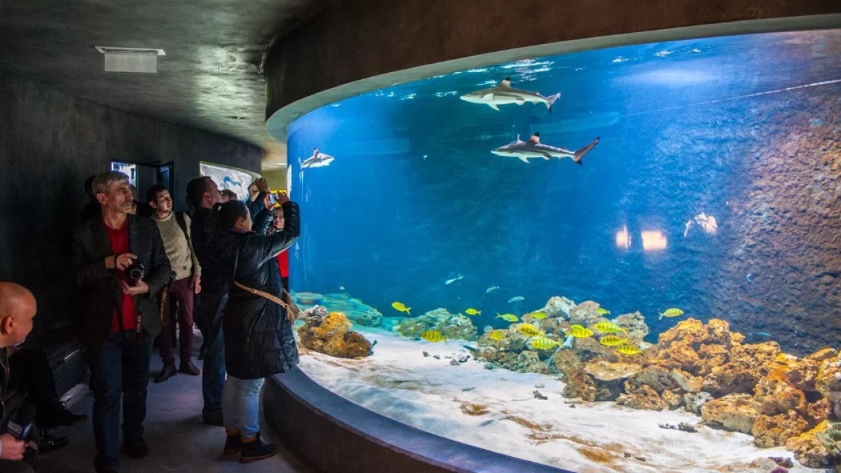 Drożej w zoo! Nowe ceny biletów już obowiązują