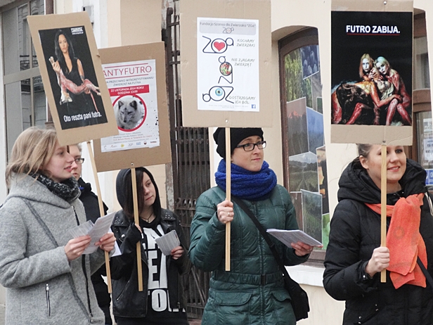 ZOA: Nie jesteśmy oszołomami [FOTO] - Zdjęcie główne