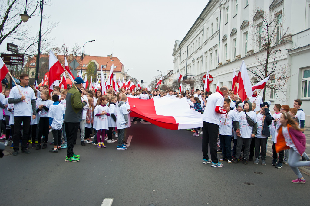 XII Bieg Niepodległości - Zdjęcie główne