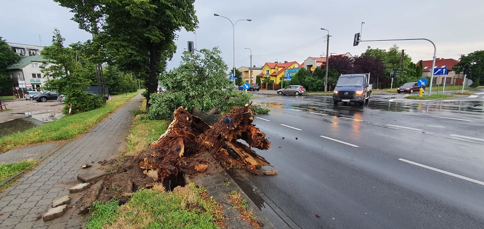 Idzie burza. Możliwy silny wiatr, ulewny deszcz i grad - Zdjęcie główne