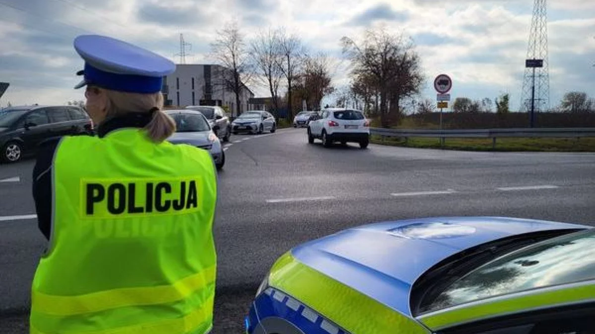 Pijani kierowcy i wypadki. Płocka policja podsumowuje akcję "Wszystkich Świętych" - Zdjęcie główne