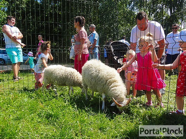 Wielkie kolejki do zoo. Czekali i czekali - Zdjęcie główne