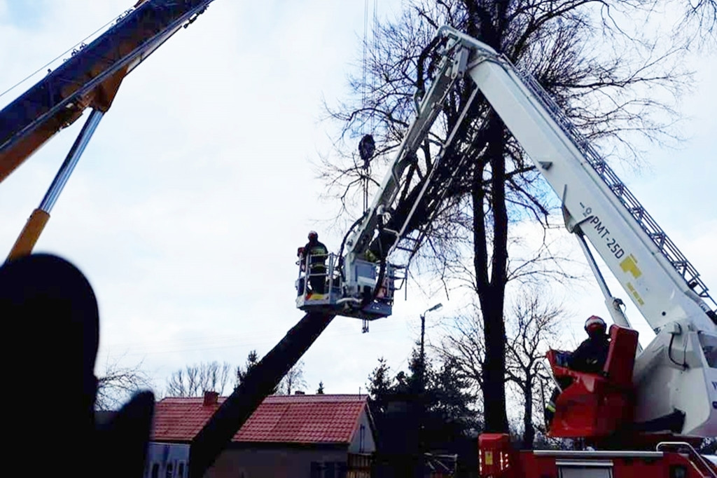 Silny wiatr. Strażacy interweniują - Zdjęcie główne