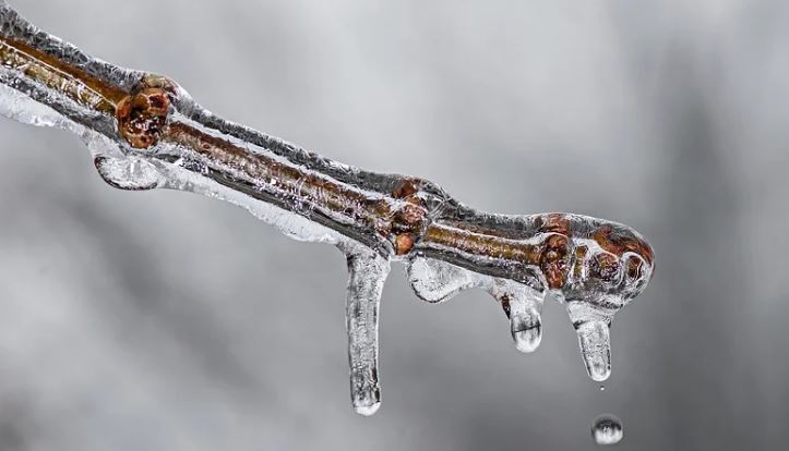 Synoptycy ostrzegają: nadciąga silny mróz. Temperatura spadnie nawet do minus 19 stopni - Zdjęcie główne