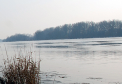 Poziom rzeki wciąż rośnie. Alarm w powiecie - Zdjęcie główne