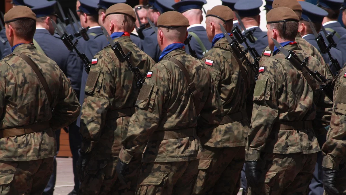 Wojsko szuka także w powiecie płockim. Trwa kwalifikacja - Zdjęcie główne