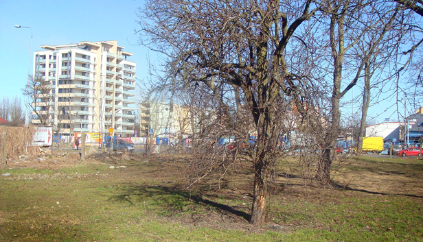 Będzie nowy minipark w centrum [FOTO] - Zdjęcie główne