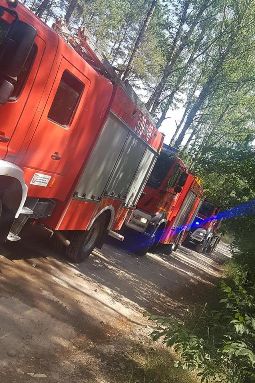 Pożar lasu w miejscowości Sendeń Duży - Zdjęcie główne