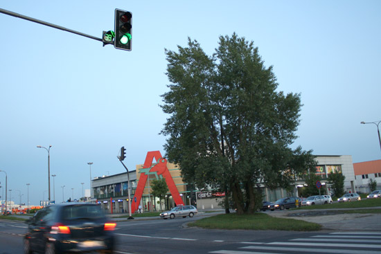 Dym w Auchan, na miejscu są strażacy - Zdjęcie główne