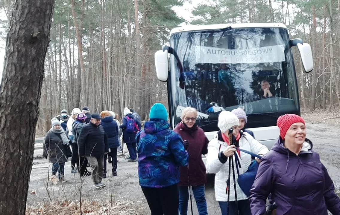 Lubicie spacery lub truchtanie po lesie? Bezpłatny autobus czeka w Płocku co niedziela - Zdjęcie główne