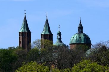 Odkryj z nami Płock. Ale nocą - Zdjęcie główne