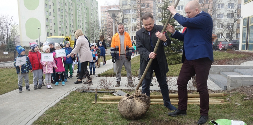 Jak prezydent, marszałek i radni PSL drzewa sadzili... - Zdjęcie główne