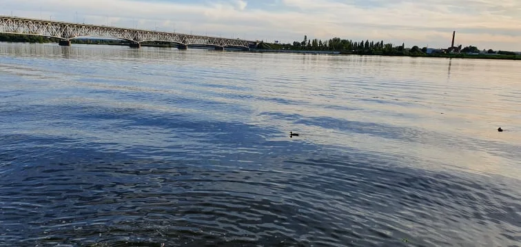 Poziom wody w Wiśle rośnie. Pogotowie przeciwpowodziowe w Płocku! - Zdjęcie główne