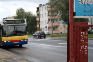 Czerwoniaki kontra siarczysty mróz - Zdjęcie główne