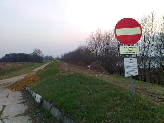 Bobry spacyfikowane, czas na zagęszczanie - Zdjęcie główne