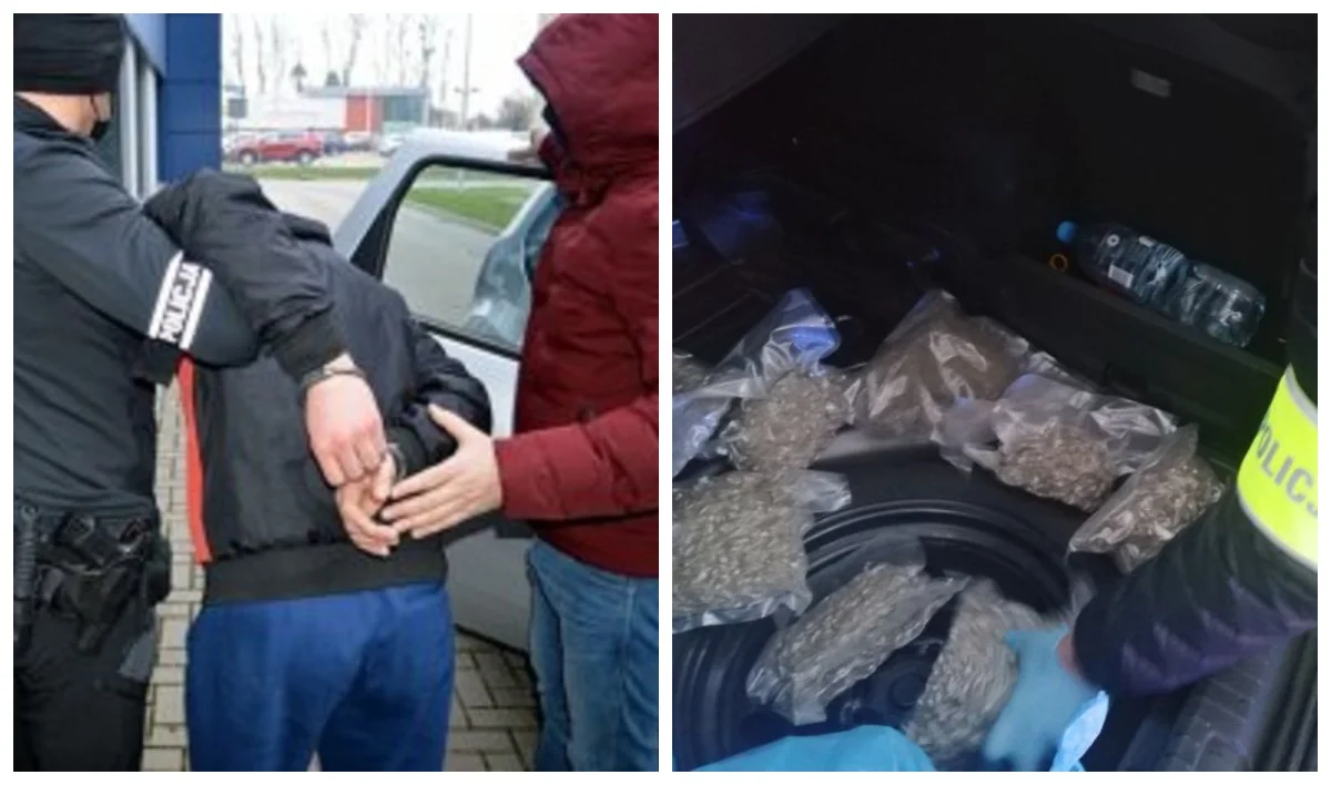 Płocka policja przejęła 20 kg narkotyków. Zatrzymano cztery osoby - Zdjęcie główne