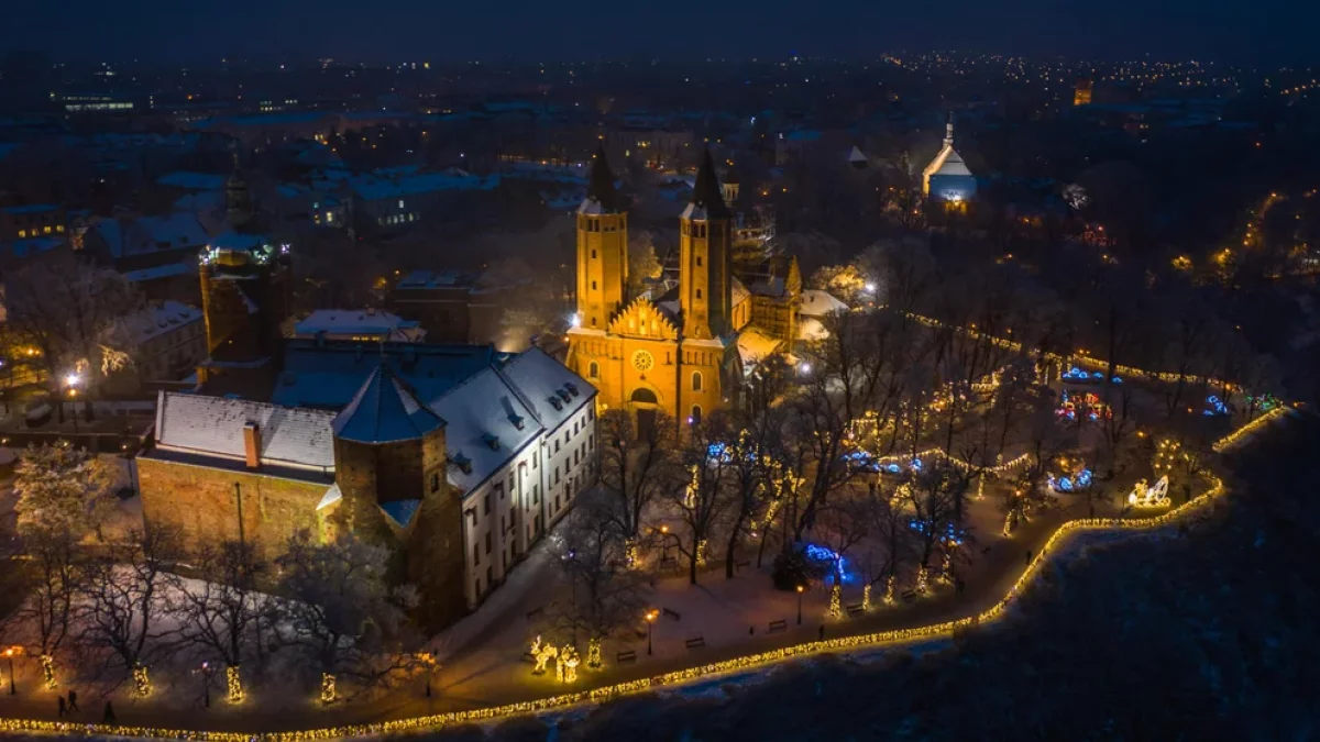 W tym roku będą Płockie Ogrody Światła! Znamy datę - Zdjęcie główne